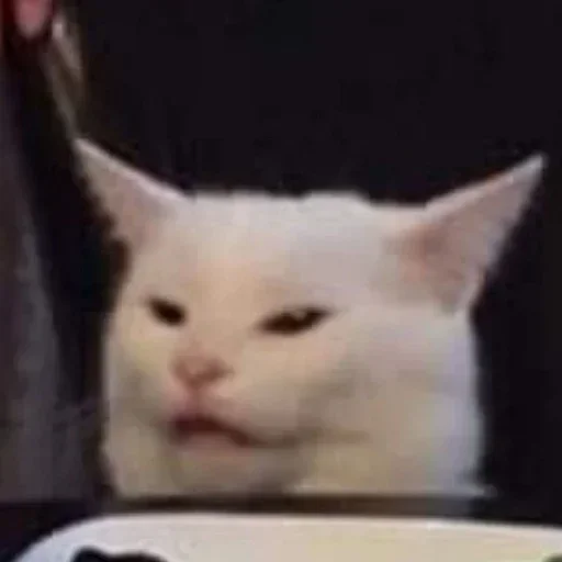 Telegram stiker 😵 🫱✊️🫵👍🖕👏🤜🫴🫷👊🫸