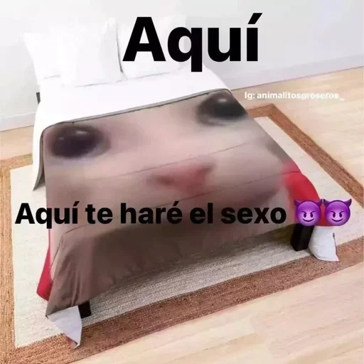 Telegram stiker 🥰 🫱✊️🫵👍🖕👏🤜🫴🫷👊🫸