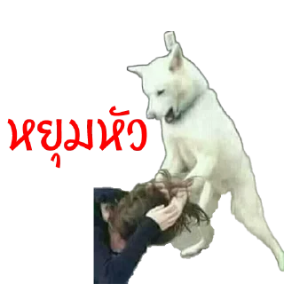 Телеграм стикер 😎 มีมหมา