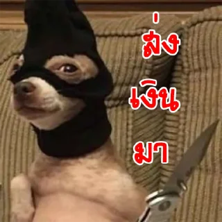 Телеграм стикер 💰 มีมหมา