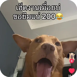 Telegram sticker 🫥 NaHEe
