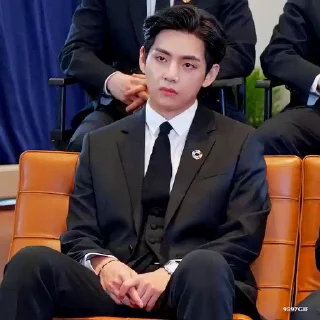 Video sticker 🐯 @thv_uniiverse