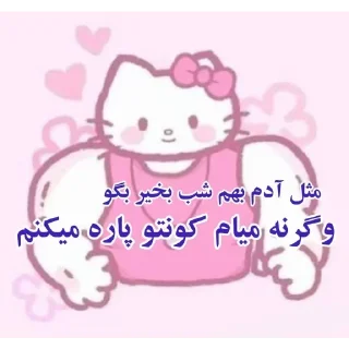 Video sticker 😎 مو داشاقوم طلایه دنبال کوص بلایه