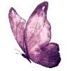 Sticker 🦋 𝗖𝗮𝘀𝘁𝗼𝗿𝗶𝗰𝗲|@wilmisstik|@Charmy_Bryalok @TgEmodziBot