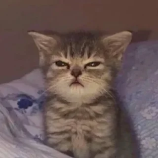 Telegram sticker 🌿 っ╥╯﹏╰╥c