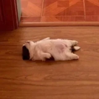 Telegram sticker 🌻 っ╥╯﹏╰╥c