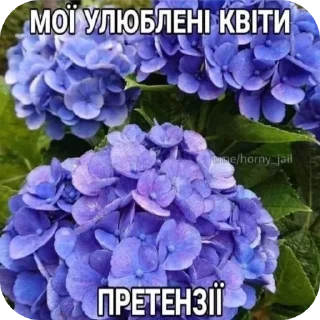Telegram sticker 🌸 ріальна укр жиза | via @StickedApp_bot