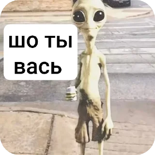 Telegram sticker ☠ Вась @TrapQueen0wen @slivdiddybop