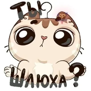 Video sticker 😉 дениска @ttemish :: @fStikBot