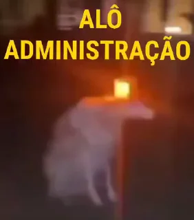 Video sticker 👮 Palácia 2.0 :: @fStikBot
