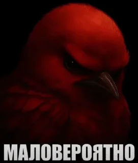 Video sticker 🌟 вряд ли1 :: @fStikBot