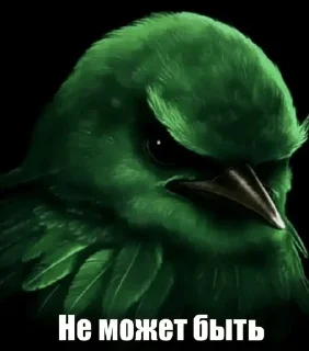 Video sticker 🌟 вряд ли1 :: @fStikBot