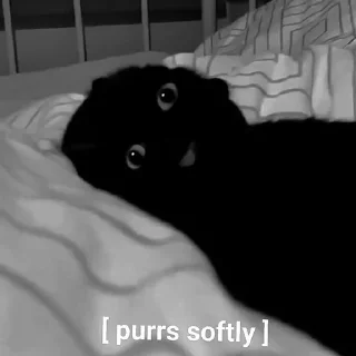 Video sticker 🐱 Pretty Savage — @geoyangi.