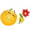 Video sticker 🌹 шлёпанцы -...