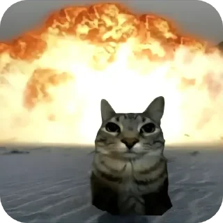 Video sticker 🐱 potato