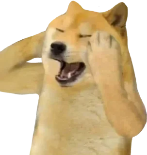 Telegram sticker 😫 @FedexOG 🚚