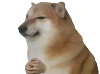 Telegram sticker 🐶 @FedexOG 🚚