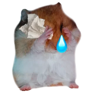 Telegram sticker 😪 Х О М Я К И — @IMOEX