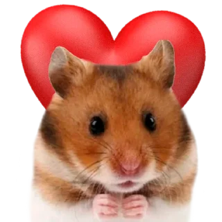 Telegram sticker ❤️ Х О М Я К И — @IMOEX