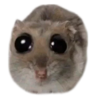 Telegram sticker 🥺 Х О М Я К И — @IMOEX
