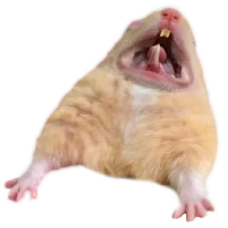 Telegram sticker 😫 Х О М Я К И — @IMOEX