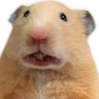 Telegram sticker 😦 Х О М Я К И — @IMOEX