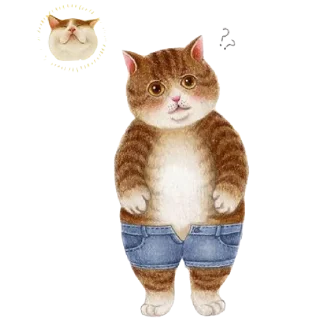 Video sticker 😐 nyangsongi_cat