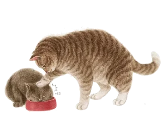 Telegram sticker 😬 nyangsongi_cat
