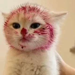 Video sticker 🤡 __urs_star