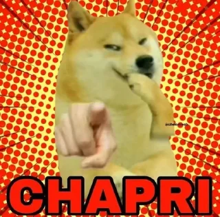 Телеграм стикер 😂 SPΛRTΛN (@Spartan_sticker) ✨