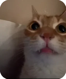 Telegram stiker 😞 Сухарики by @nietso