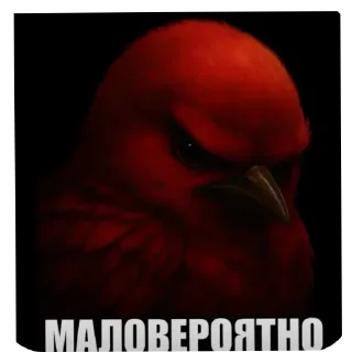 Sticker 🐦 птицы @kirieshkapro1234567890