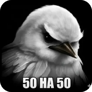 Video sticker 🐦 птицы @kirieshkapro1234567890