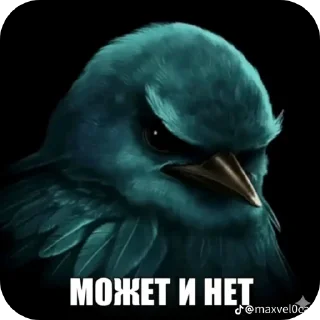 Telegram sticker 🐦 птицы @kirieshkapro1234567890