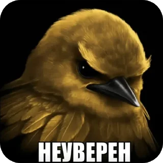 Video sticker 🐦 птицы @kirieshkapro1234567890