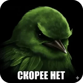 Video sticker 🐦 птицы @kirieshkapro1234567890