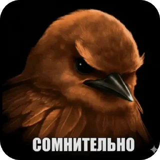 Telegram sticker 🐦 птицы @kirieshkapro1234567890