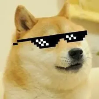 Telegram sticker 😎 @Shubhraj2812 Huehuehue
