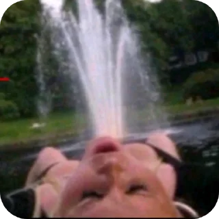 Video sticker ✋ Miei e basta