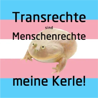 Video sticker 🏳 Mittwoch