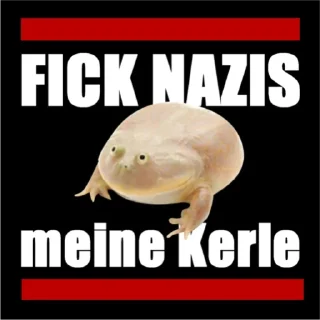 Telegram sticker 🐸 Mittwoch