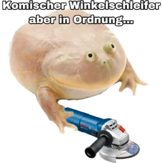 Telegram sticker 🐸 Mittwoch