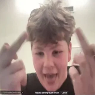 Telegram sticker 🖕 Probably Nothing