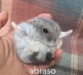 Video sticker 🌟 Любимые картинки егорки 6 :: @fStikBot