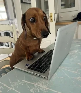 Telegram stiker 🌟 Любимые картинки егорки 6 :: @fStikBot