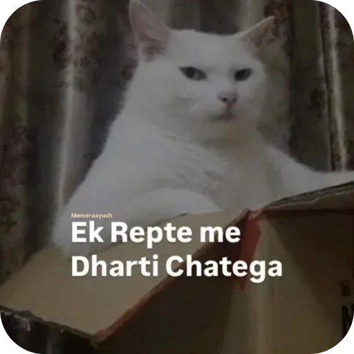 Sticker 🐱 @lowkey_vibe  Anmol