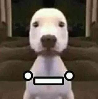 Video sticker 😐 Больше стиков тут: @stikery4