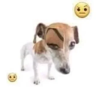 Telegram sticker 🤨 Больше стиков тут: @stikery4