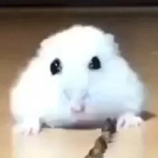 Telegram sticker 😦 Больше стиков тут: @stikery4