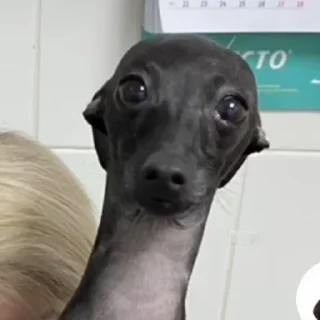 Telegram sticker 😦 Больше стиков тут: @stikery4